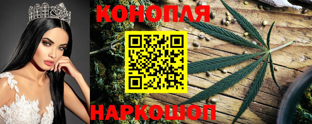 Бошки марихуана OG Kush Севастополь
